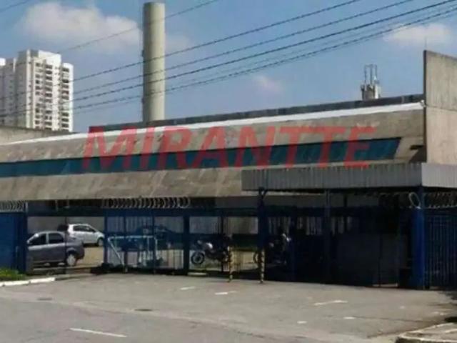 Casa / Sobrado Comercial para Venda em São Bernardo do Campo/SP Planalto