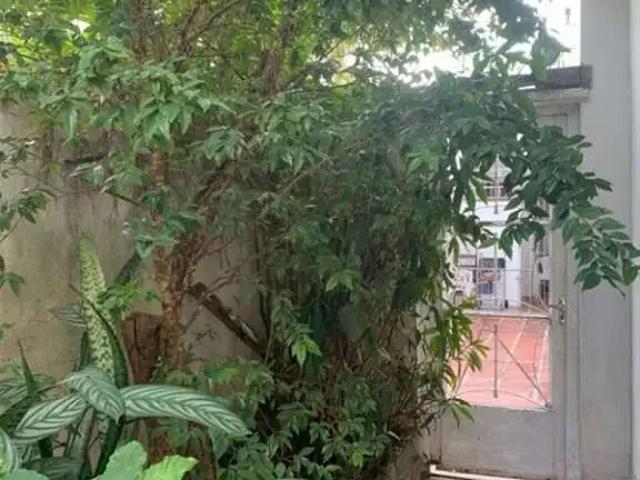 Casa / Sobrado Comercial para Venda em São Paulo/SP Campo Belo 2 Quartos