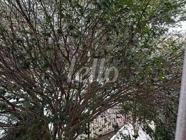 Casa / Sobrado Comercial para Venda em São Paulo/SP Vila Zelina 3 Quartos