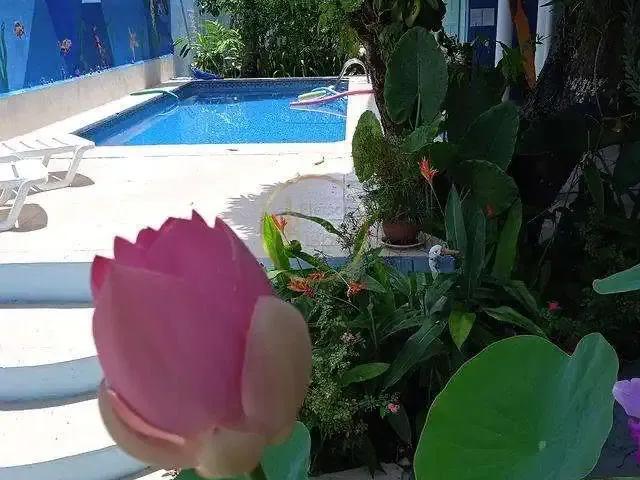 Casa / Sobrado Comercial para Venda em Porto Seguro/BA Centro 17 Quartos