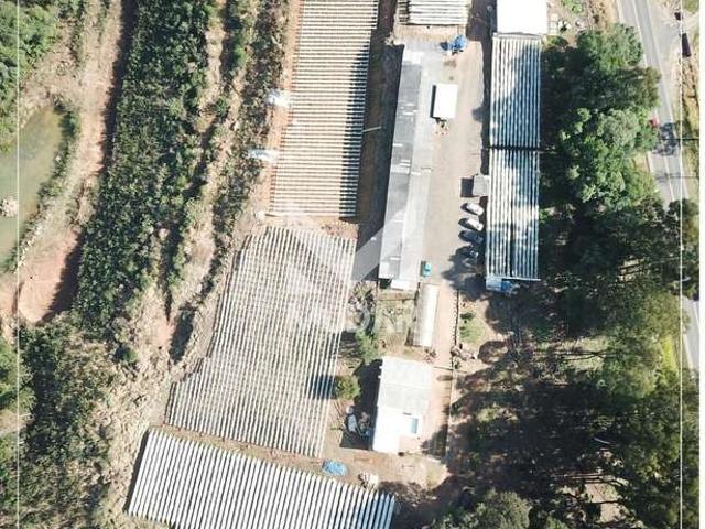 Casa / Sobrado Comercial para Venda em Piraí do Sul/PR Centro