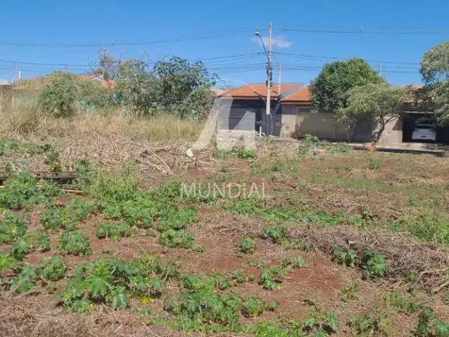 Casa / Sobrado Comercial para Venda em Ribeirão Preto/SP Jardim Cristo Redentor