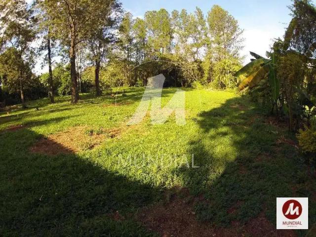 Casa / Sobrado Comercial para Venda em Ribeirão Preto/SP Jardim Itaú