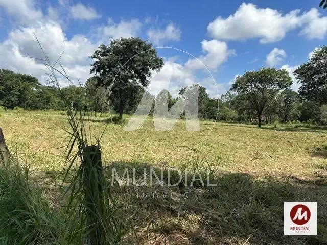 Casa / Sobrado Comercial para Venda em Ribeirão Preto/SP Jardim Professor Antônio Palocci