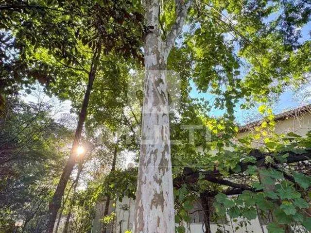 Casa / Sobrado em Condomínio para Locação em Uberlândia/MG Morada do Sol 4 Quartos
