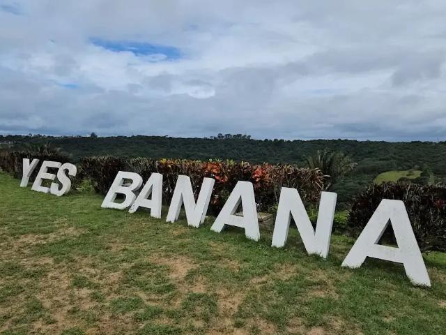 Casa / Sobrado em Condomínio para Venda em Bananeiras/PB Condomínio Yes Banana 3 Quartos