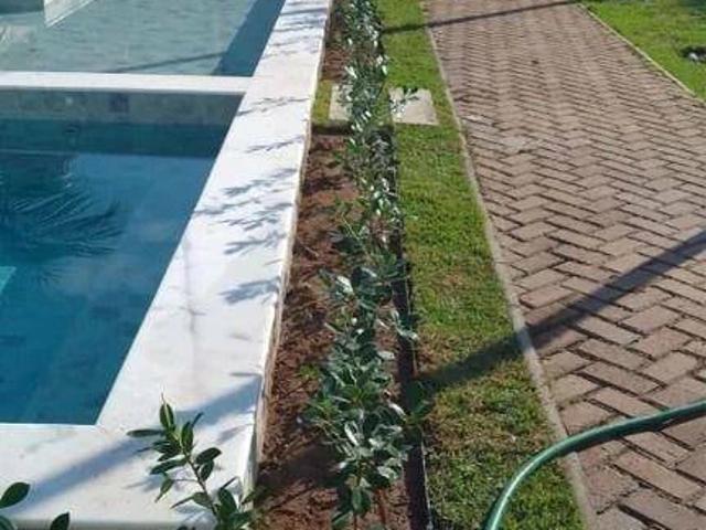 Casa / Sobrado em Condomínio para Locação em Camaçari/BA Monte Gordo 2 Quartos
