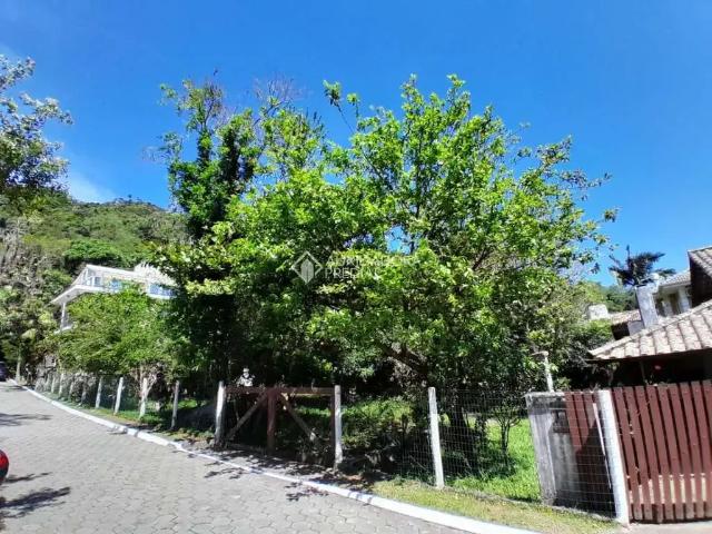 Casa / Sobrado em Condomínio para Locação em Florianópolis/SC Ponta das Canas 4 Quartos