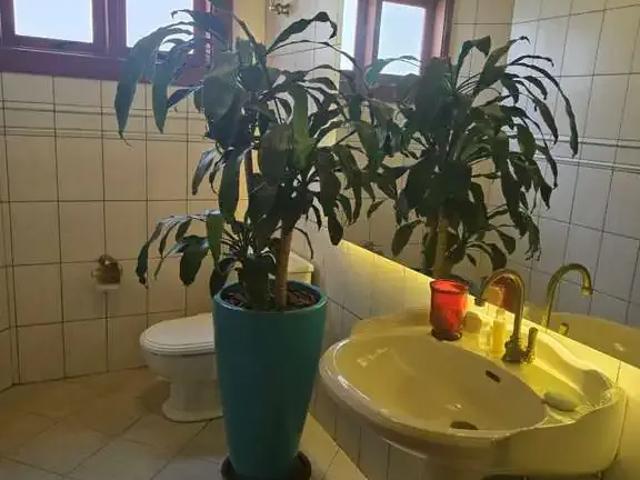 Casa / Sobrado em Condomínio para Locação em Jundiaí/SP Loteamento Capital Ville 4 Quartos