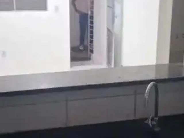 Casa / Sobrado em Condomínio para Locação em Paulista/PE Nossa Senhora do Ó 2 Quartos