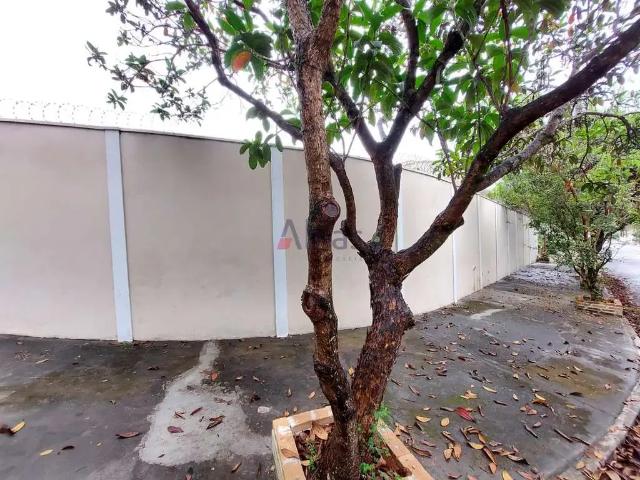 Casa / Sobrado em Condomínio para Locação em São Carlos/SP Residencial Samambaia 3 Quartos