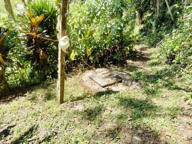 Casa / Sobrado em Condomínio para Locação em São Lourenço da Serra/SP Morro Grande 3 Quartos