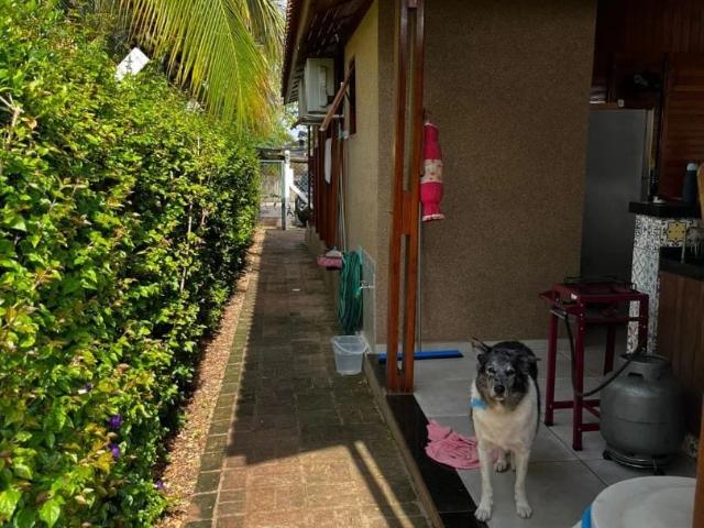Casa / Sobrado em Condomínio para Locação em Sales/SP Barra Mansa 2 Quartos