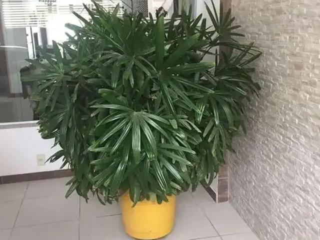Casa / Sobrado em Condomínio para Venda em Mesquita/RJ Cosmorama 3 Quartos