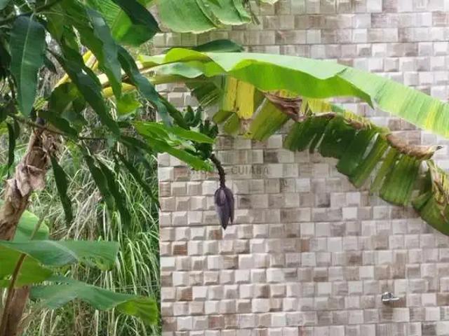 Casa / Sobrado em Condomínio para Venda em Cuiabá/MT Zona Rural 2 Quartos