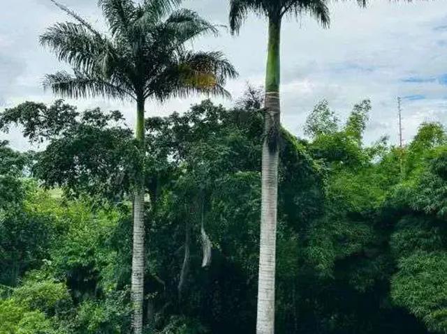 Casa / Sobrado em Condomínio para Venda em Camaragibe/PE Aldeia dos Camarás 5 Quartos