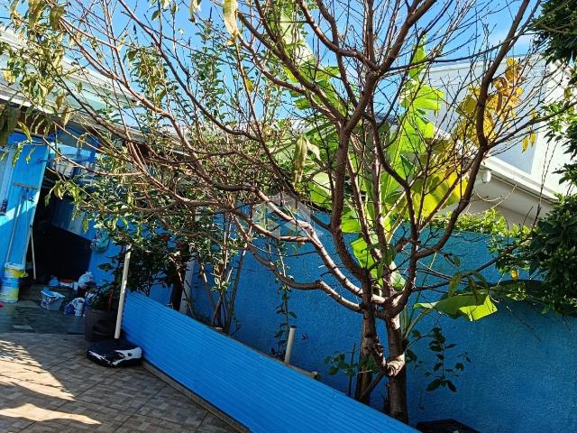Casa / Sobrado em Condomínio para Venda em Capão da Canoa/RS Zona Nova 3 Quartos