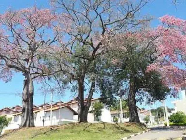 Casa / Sobrado em Condomínio para Venda em Cotia/SP Granja Viana 2 Quartos