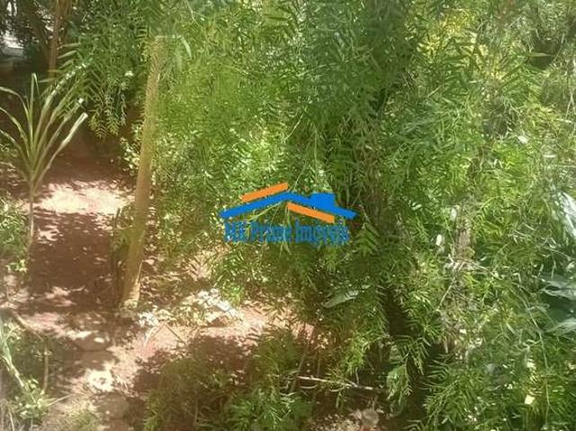 Casa / Sobrado em Condomínio para Venda em Cotia/SP Jardim Guerreiro 2 Quartos