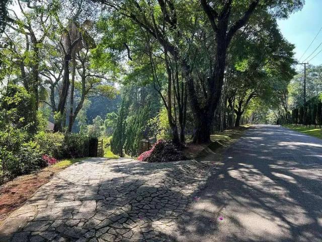 Casa / Sobrado em Condomínio para Venda em Cotia/SP Parque Silvino Pereira 5 Quartos