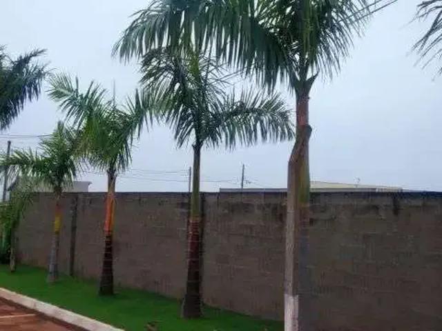 Casa / Sobrado em Condomínio para Venda em Doutor Camargo/PR Zona Rural 1 Quartos