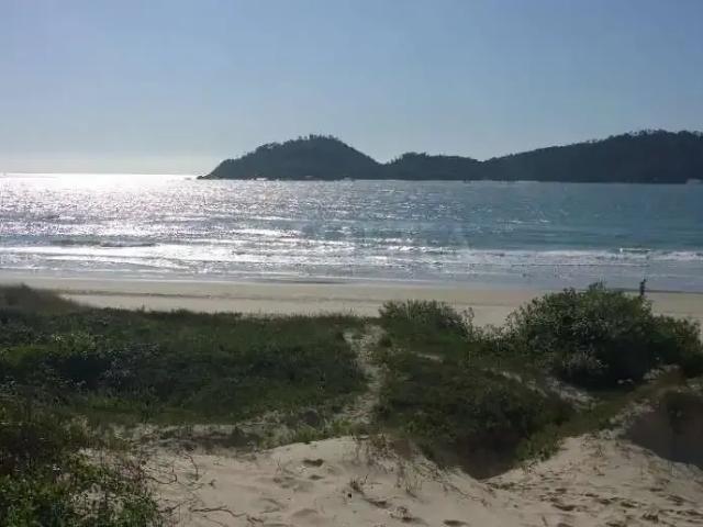 Casa / Sobrado em Condomínio para Venda em Florianópolis/SC Campeche 5 Quartos