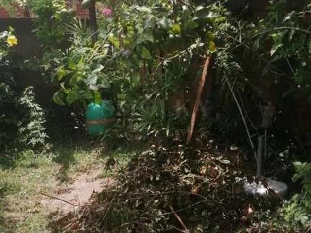 Casa / Sobrado em Condomínio para Venda em Florianópolis/SC Cachoeira do Bom Jesus 5 Quartos