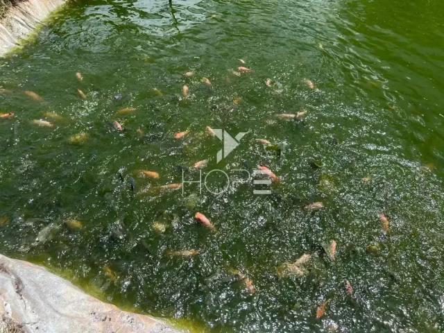 Casa / Sobrado em Condomínio para Venda em Ibiporã/PR Chácaras Itaúna 2 Quartos