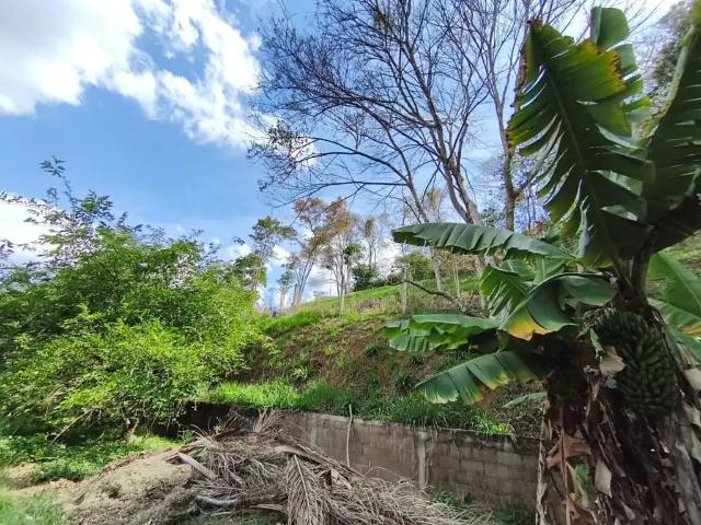 Casa / Sobrado em Condomínio para Venda em Juiz de Fora/MG Barão do Retiro 3 Quartos