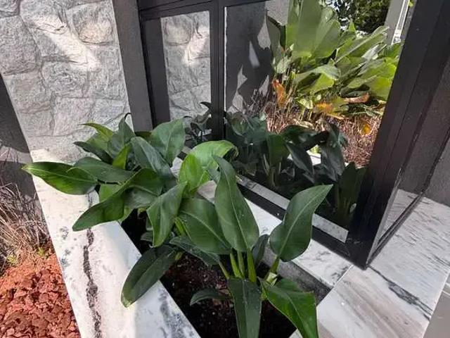 Casa / Sobrado em Condomínio para Venda em Jacareí/SP Jardim Jacinto 3 Quartos