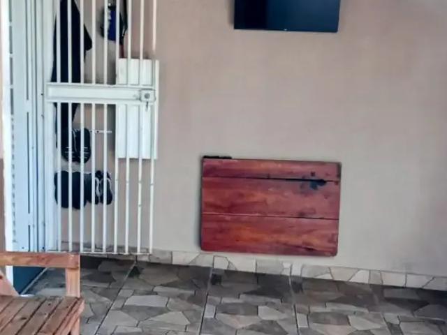 Casa / Sobrado em Condomínio para Venda em Jacareí/SP Jardim Marcondes 2 Quartos