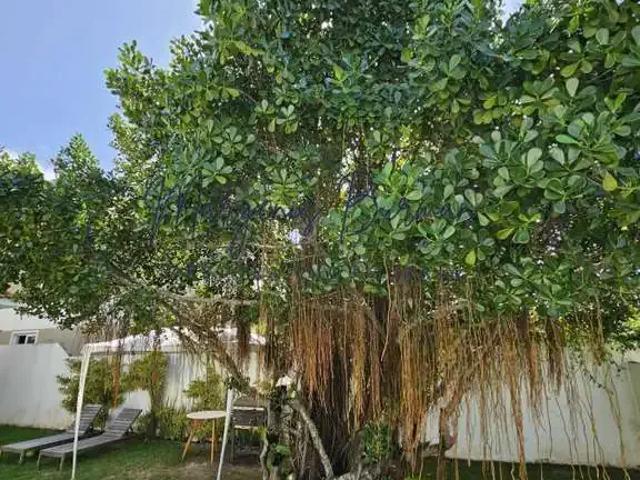 Casa / Sobrado em Condomínio para Venda em Lauro de Freitas/BA Buraquinho 4 Quartos