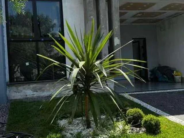 Casa / Sobrado em Condomínio para Venda em Paulínia/SP Vila Monte Alegre 3 Quartos