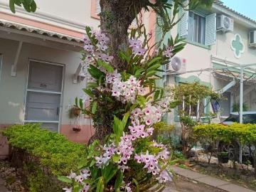 Casa / Sobrado em Condomínio para Venda em Porto Alegre/RS Humaitá 3 Quartos