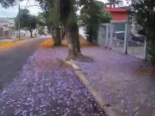 Casa / Sobrado em Condomínio para Venda em Porto Alegre/RS Três Figueiras 3 Quartos