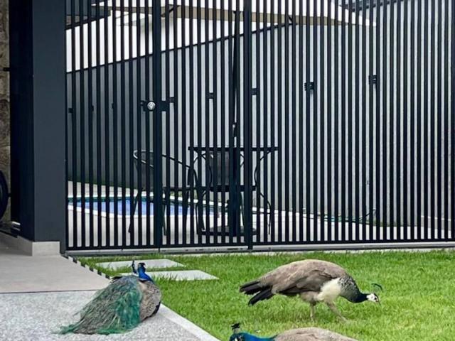 Casa / Sobrado em Condomínio para Venda em Sorocaba/SP Ibiti Royal Park 4 Quartos