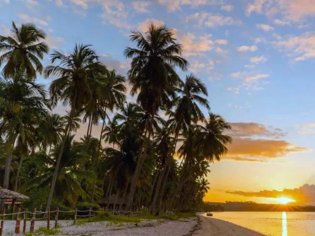 Casa / Sobrado em Condomínio para Venda em Tamandaré/PE Praia Dos Carneiros 4 Quartos