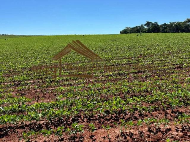 Casa / Sobrado para Venda em Tatuí/SP Área Rural de Tatuí