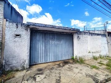 Teresina, Piauí - Área de serviço, Quintal