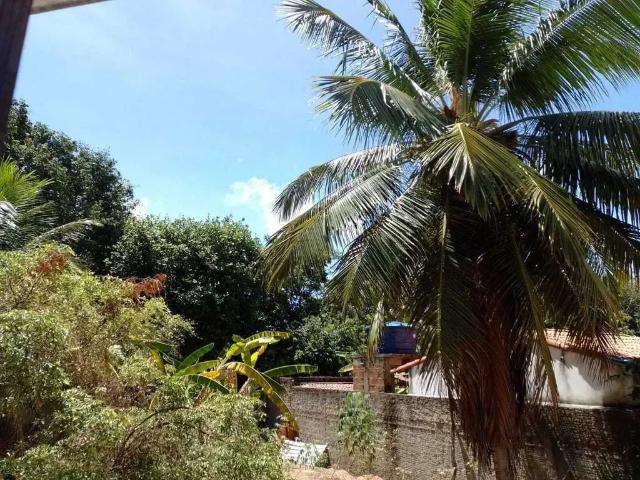Casa / Sobrado para Venda em Tibau do Sul/RN Pipa 3 Quartos