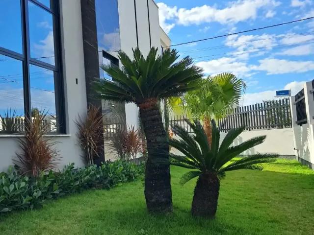 Casa / Sobrado para Venda em Tijucas/SC Bosque da Mata 3 Quartos