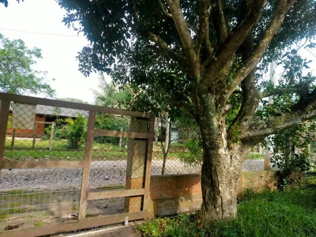 Casa / Sobrado para Venda em Torres/RS Praia Real 4 Quartos