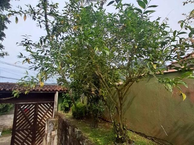 Casa / Sobrado para Venda em Ubatuba/SP Pereque Mirim 3 Quartos