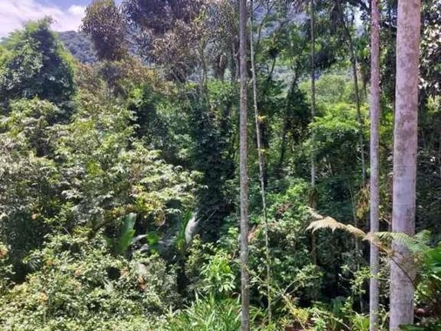 Casa / Sobrado para Venda em Ubatuba/SP Praia da Almada 3 Quartos