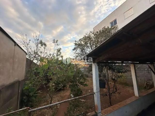 Casa / Sobrado para Venda em Uberlândia/MG Conjunto Segismundo Pereira 3 Quartos