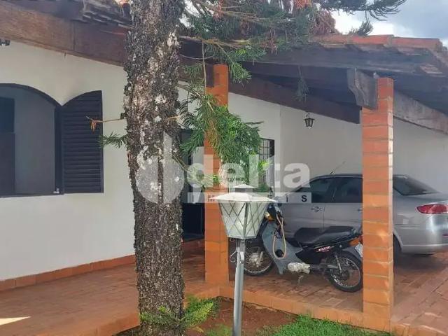 Casa / Sobrado para Venda em Uberlândia/MG Jardim das Palmeiras 3 Quartos