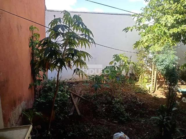 Casa / Sobrado para Venda em Uberlândia/MG Jardim Europa 4 Quartos