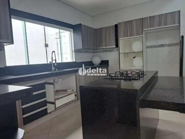 Casa / Sobrado para Venda em Uberlândia/MG Santa Luzia 5 Quartos