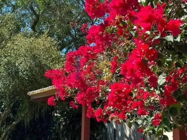 Casa / Sobrado para Venda em Una/BA Comandatuba 4 Quartos