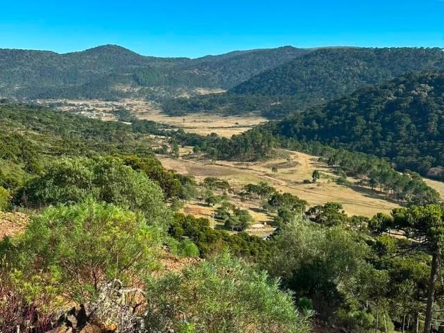 Casa / Sobrado para Venda em Urubici/SC Vacas Gordas 3 Quartos